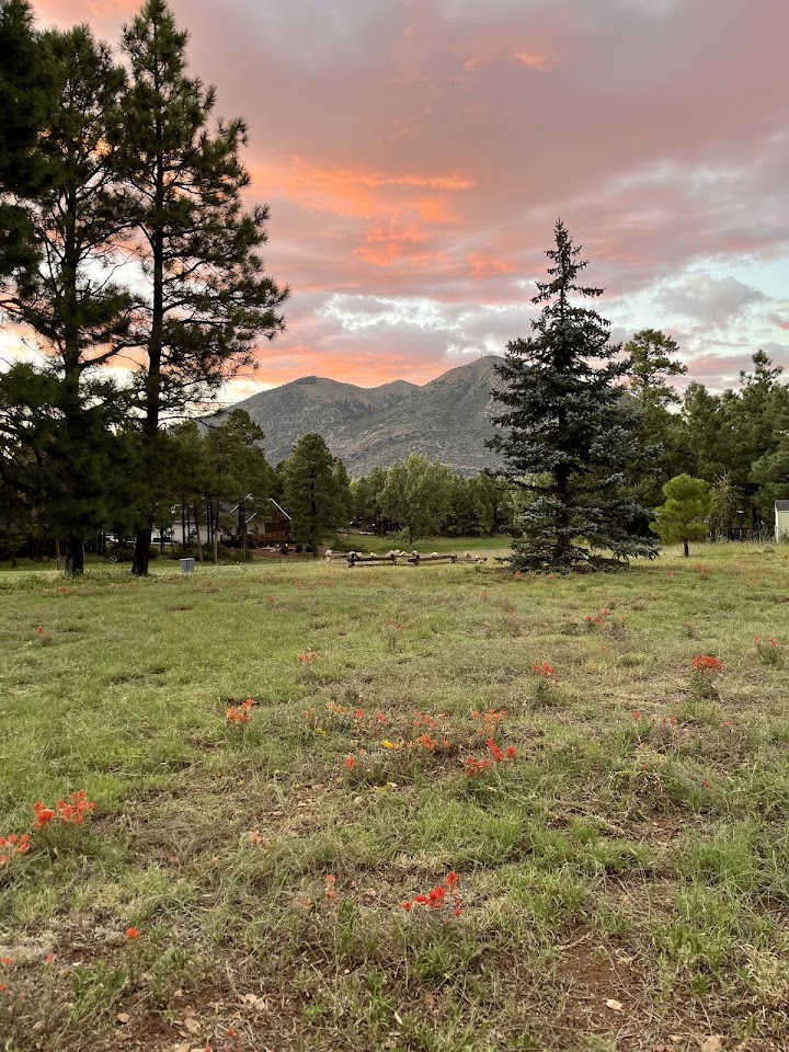 Flagstaff Home & Lawn Care LLC project
